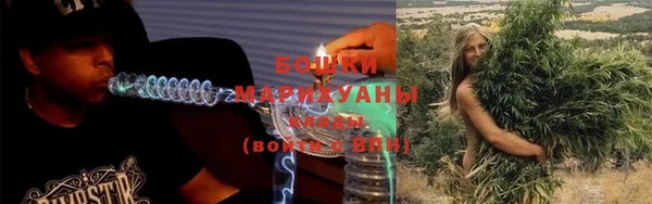 гашик Пересвет