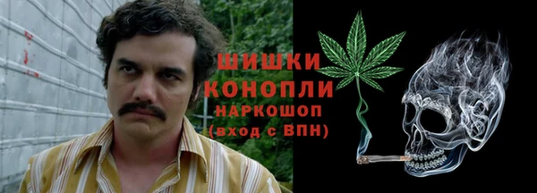 гашик Пересвет