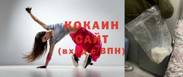 гашик Пересвет