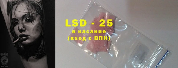 гашик Пересвет