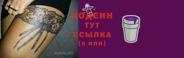 гашик Пересвет