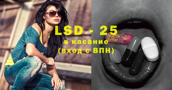 гашик Пересвет