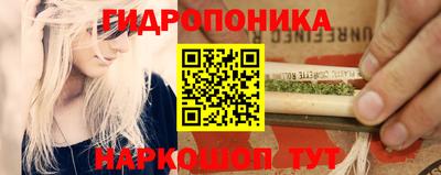 амф Берёзовский