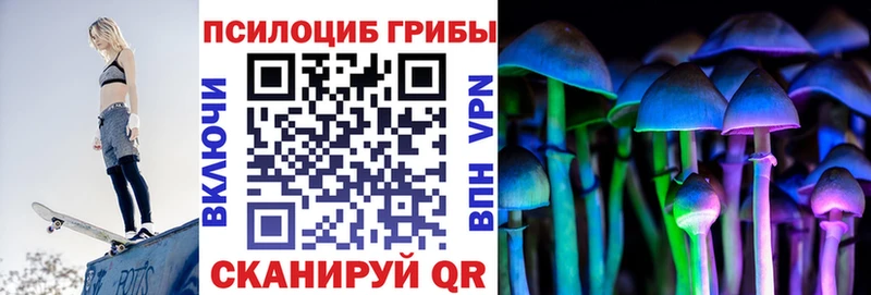 Псилоцибиновые грибы мицелий  где купить наркоту  Воронеж 