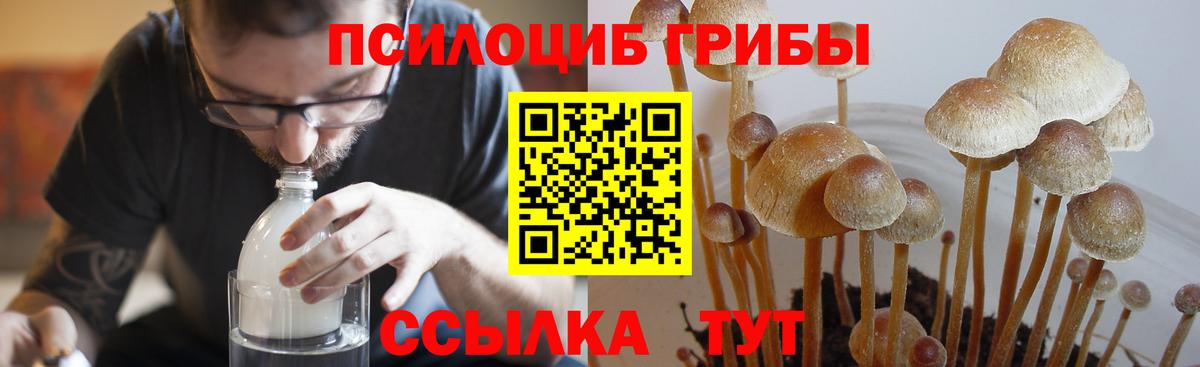 Псилоцибиновые грибы MAGIC MUSHROOMS  Вход с VPN  Воронеж  Псилоцибиновые грибы Psilocybe 